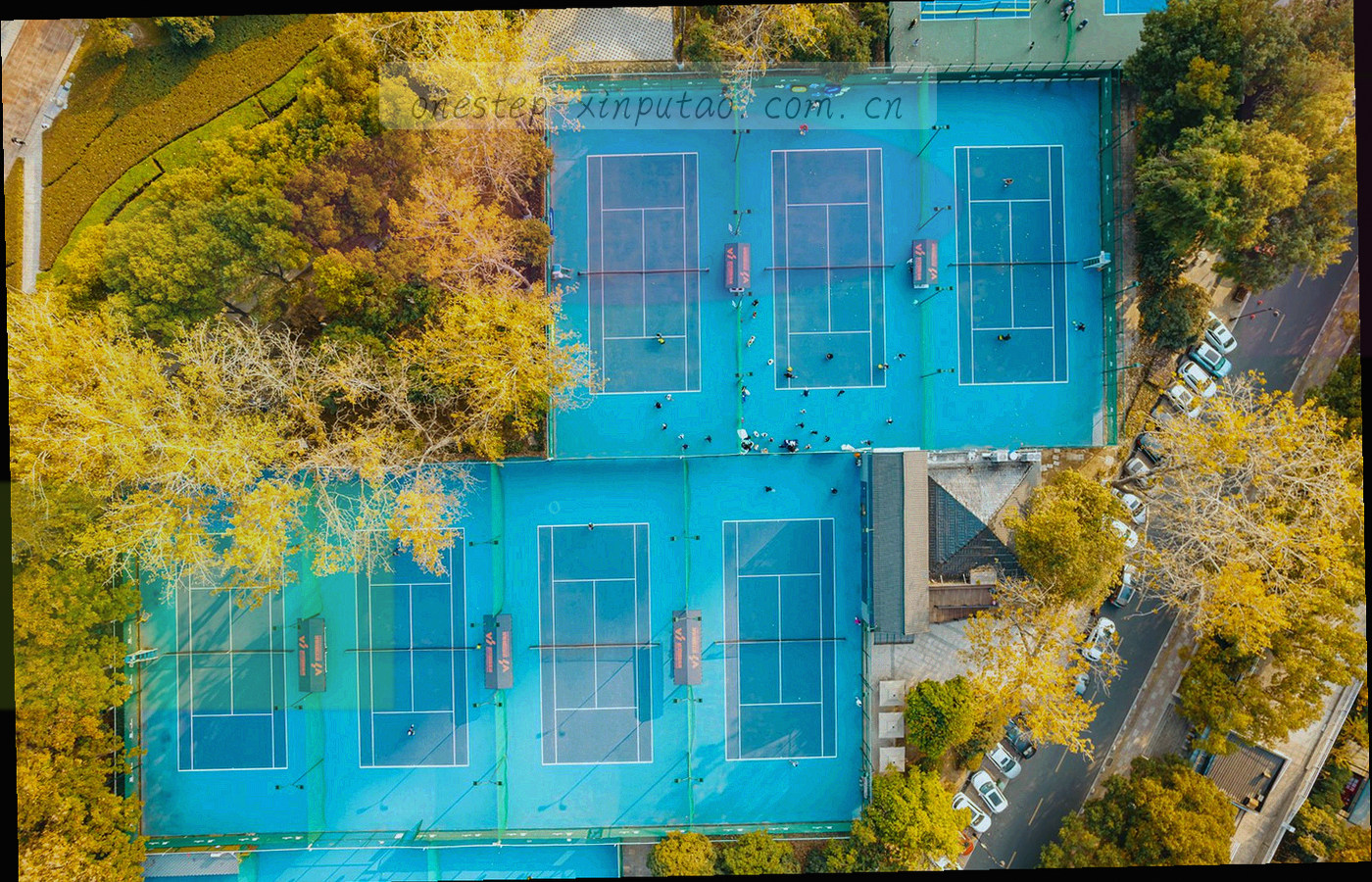 抽象网格地图上多条光带连接不同节点，部分节点亮度较弱，示意不同地域的访问表现差异
